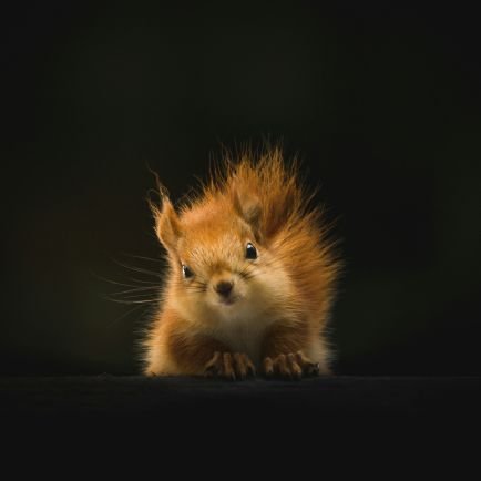 mr_hariharan_97's profile picture. Surveyor