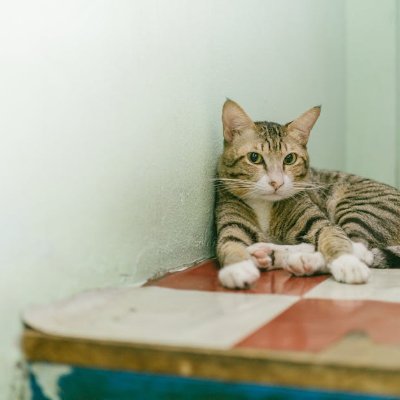 OrtelliR31413's profile picture. 