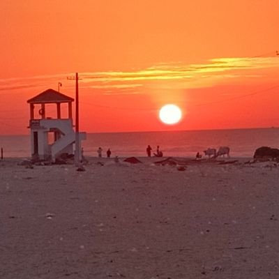 ch2007sai2's profile picture. #CrunchieOG