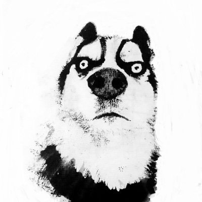 piginwater's profile picture. 