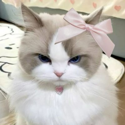 KaNa2397's profile picture. 
