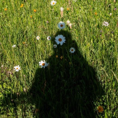 Jack1133449's profile picture. ❁