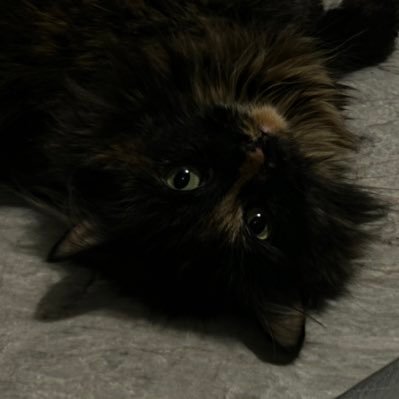 grayson026's profile picture. hiiii :DDD