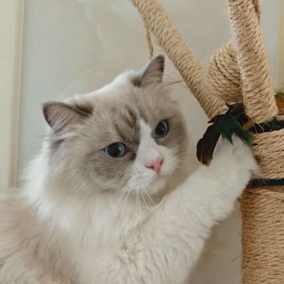 Tociey0069's profile picture. Love what you love, and savor all the treasures the world brings you.