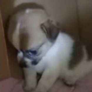 Dannyさんのプロフィール画像