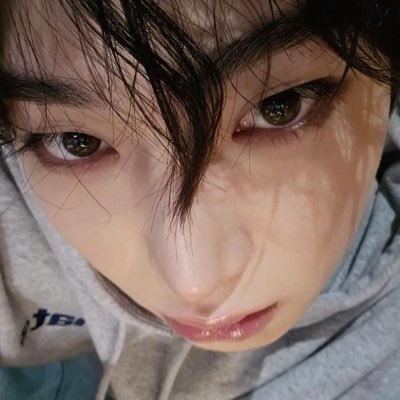 529sno's profile picture. for #엔하이픈 ⋆౨ৎ˚⟡.