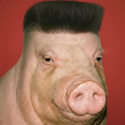 @_Come_Bellotas