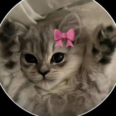 Bam478619583957's profile picture. 