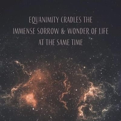 AmitAmit177's profile picture. 