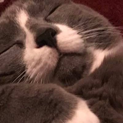 NemMlem's profile picture. Starting to get my life in order😉