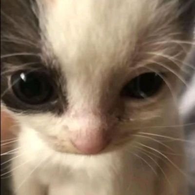 Pareja_Sw_mx's profile picture. Hola mucho gusto amigos 💕
Nos presentamos 😊

Somos Andrea y Jorge, Pareja sw de 21 y 23 años 💗
Somos de la ciudad de México 🇲🇽