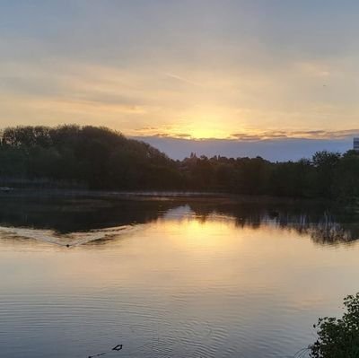 LennisDynamiks's profile picture. 