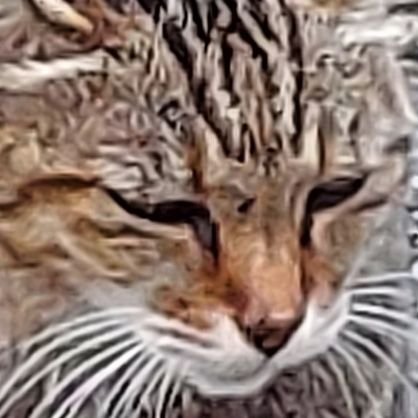 countrysidelet5's profile picture. 🐶　😼　　⛰️　🌊　　🏡　　🥾
犬と猫飼いたくても飼えなくて
田舎に移住したくても
出来ない人