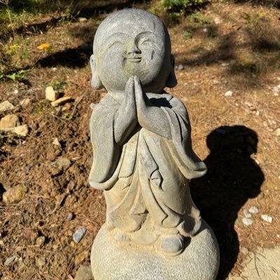 Litong_You's profile picture. 