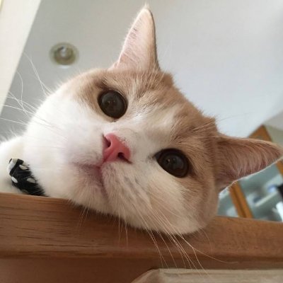 BartoszMaz32750's profile picture. 