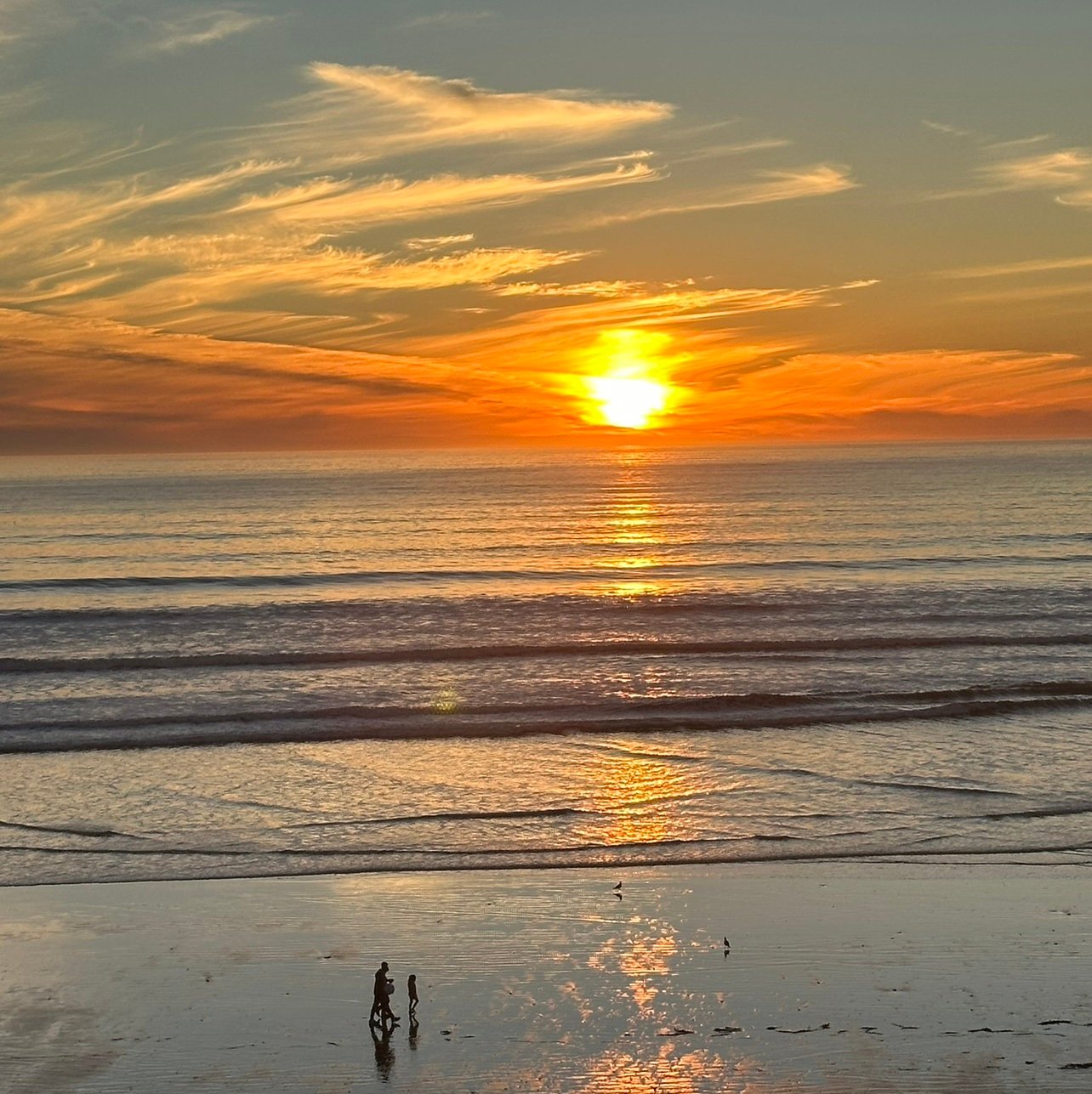 pedrorealstate's profile picture. 