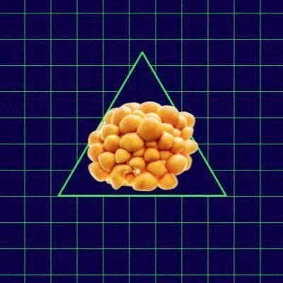 nameko_238's profile picture. OTK | 小沢健二 | くるり | RIP SLYME