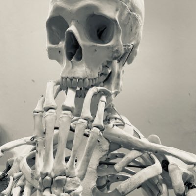 pj20210509's profile picture. 