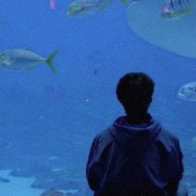 film_d21's profile picture. 