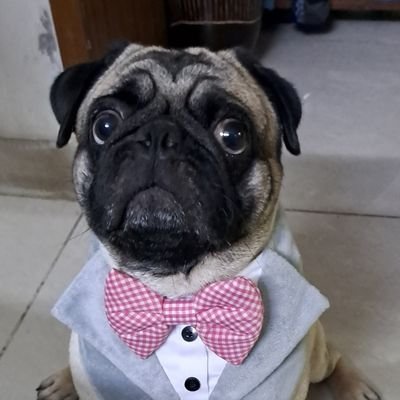 deadsoulmate's profile picture. 