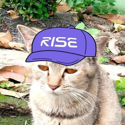 yourdrxgs_'s profile picture. All about Cryptocurency, Web3, Blockchain.