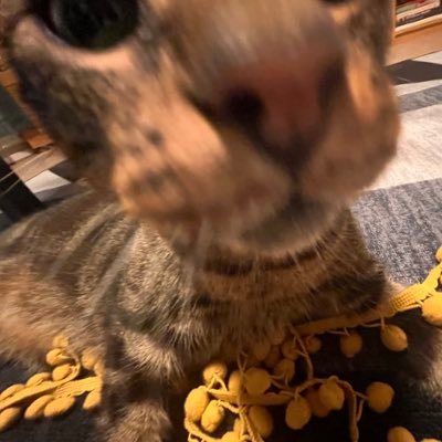elliottshadow's profile picture. 