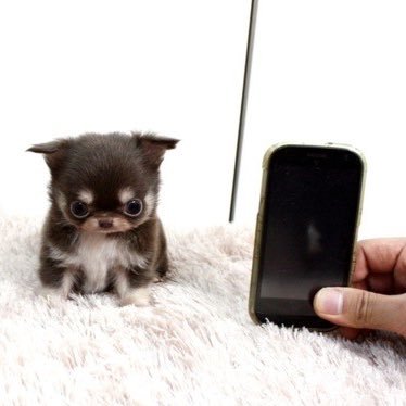 tteokjinham's profile picture. 정지당했서요