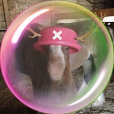 Ziruuuh's profile picture. Hitting the juckport 🎰 #trillionaire | Replace politics with swag. Preservative Enjoyer, Maker of lists