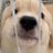 meowmully's profile image