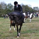 Kate Beech - @katebphoto - Twitter