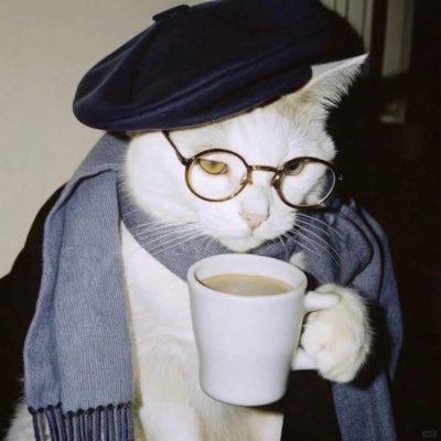 osamafh1424's profile picture. Senior PharmD student at Umm Al-qura University