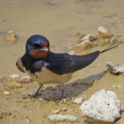 OPTOUTSATOSHI's profile picture. 
