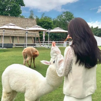 Evelina1125's profile picture. Soft heart, strong mind. I live gently, but I stand firmly for what I believe in