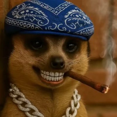 uncho1335's profile picture. with god everything is possible I believe in my self