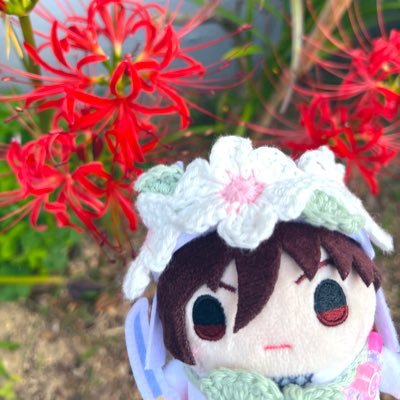 Alice🐇ʕㅍ_ㅍʔ✨さんのプロフィール画像