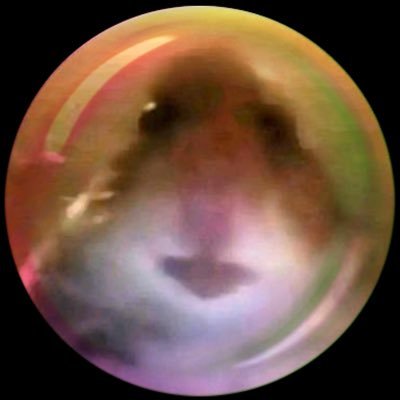 NaturalLashesQN's profile picture. (🔞DNI!!!) Love to repost stuff randomly 😭, Royale High, MonsterVerze, MomoCity, Sleepaway Realms and ChatDoll supporter ❤️ #Love