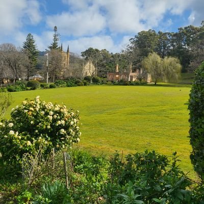 HiraYousaf12's profile picture. 