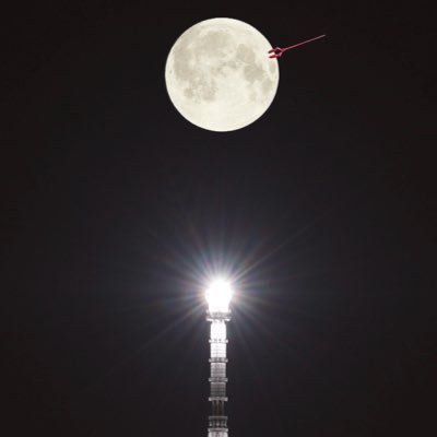 ankopatch98's profile picture. 日常をポスト。酒のち空、時々ラーメン。Lib_Chords_Union @黄昏団地 #バンド #オリジナル曲 #令和歌謡 #JPOP🎧➡️ https://t.co/FaFtFEo8EE @YouTube
