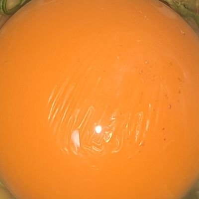 biscuit_bl's profile picture. 