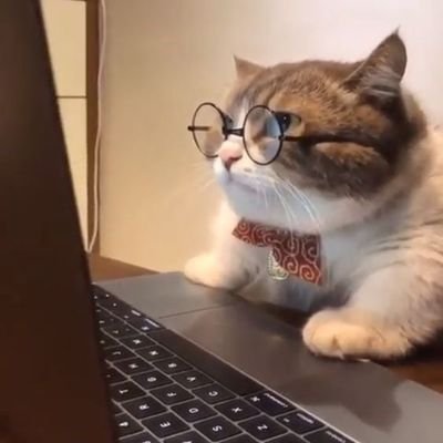 fortressyh's profile picture. Content writer• Reply guy• ~/ interested in NFts || testing dapps || Airdrops ~type shii 💎
