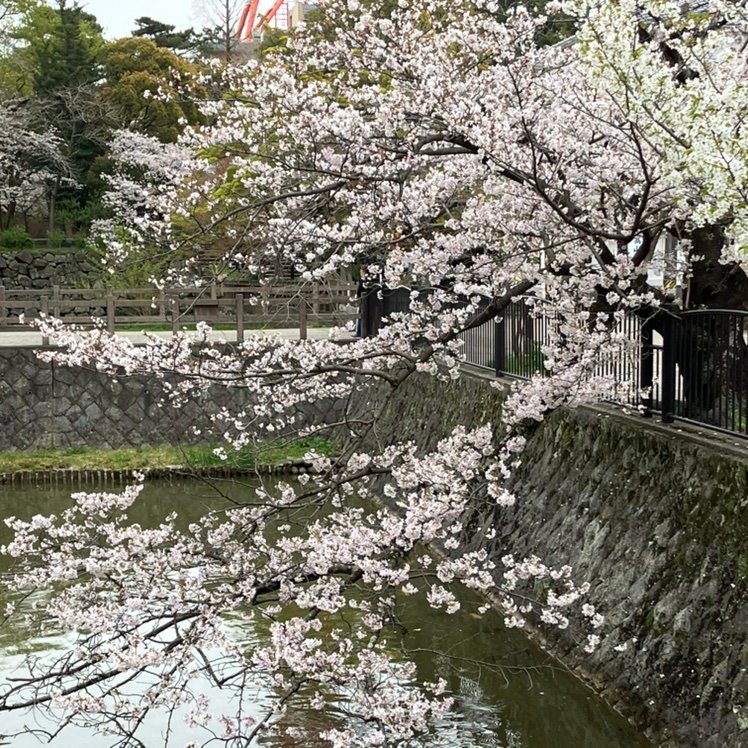 Norinorimayenu's profile picture. スポーツ観戦が好きです。 世界平和を願って、貢献したいと思ってます。信教の自由。よろしくお願いします🙏
