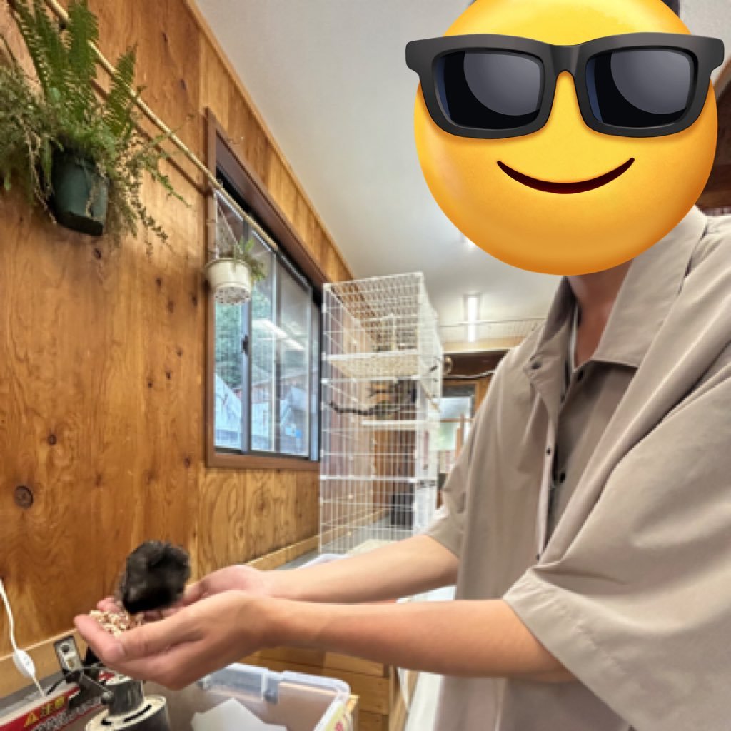 B0Fh4vbZiD7PoOq's profile picture. 都内/大学生/趣味→バックパッカー・バイク
