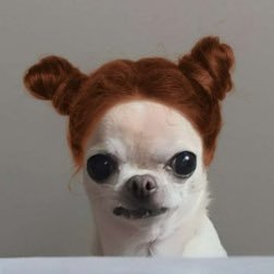 otaku_bb_'s profile picture. 도훈이 좋ㅇ ㅏ,,,S2 ⠀ ⠀ ⠀⠀ 일상계:@bb_otakuu