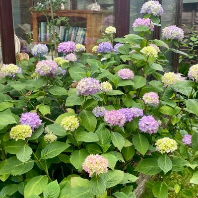 GreavesMichelle's profile picture. Retired Trade Unionist - views are my own