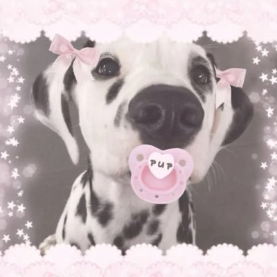 blue_0537's profile picture. 20 Petre and agere sfw 18+ abdl and baby fur   has a dada and he is my bf