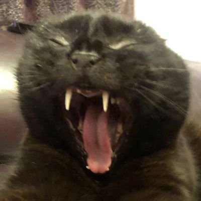 antony_cla36131's profile picture. 