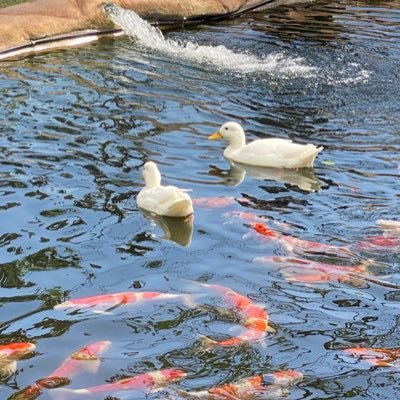 axwa_xxa's profile picture. 