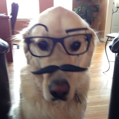 2epi0's profile picture. 