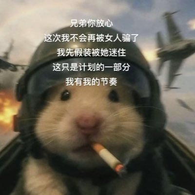 0x_Ylan's profile picture. Web3葱姜蒜  | alpha 纸手