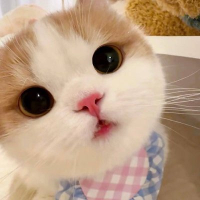 nathyvtcastro's profile picture. 恭喜你发现我啦，我是来自深圳01的妹子。
ᥬ🌝᭄:个人介绍
1抖音博主一枚
2天秤座的小姐姐一枚。
ᥬ🌝᭄:个人形象街拍
1个人身高163，体重47kg。
🍒𝐃𝐢𝐬𝐧𝐞𝐲 𝐝𝐢𝐚𝐫𝐲📔一起分享更多珍藏。🍓欢迎点赞关注
 私信发一条，会一一回关的